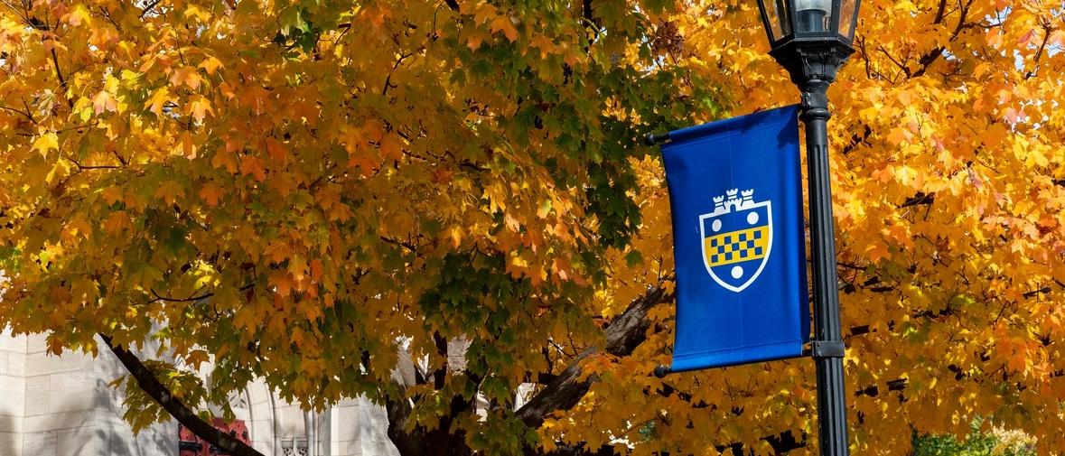 a banner flag with the university shield on a light pole with fall foliage behind it
