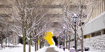 a snowy sidewalk near the hillman library