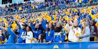 students cheer on the pitt panthers at a football game