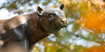 the panther statue with fall foliage around it