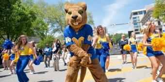 roc the panther and pitt cheerleaders dance at the annual staff picnic