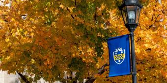 a flag with the pitt shield hung on a lightpost, fall leaves on trees behind