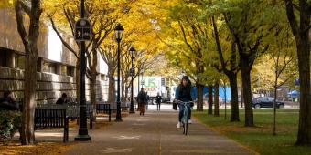 a sidewalk near the hillman library, shaded with fall trees