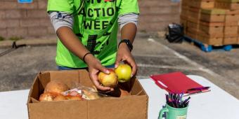 a volunteer packs a box of apples during civic action week