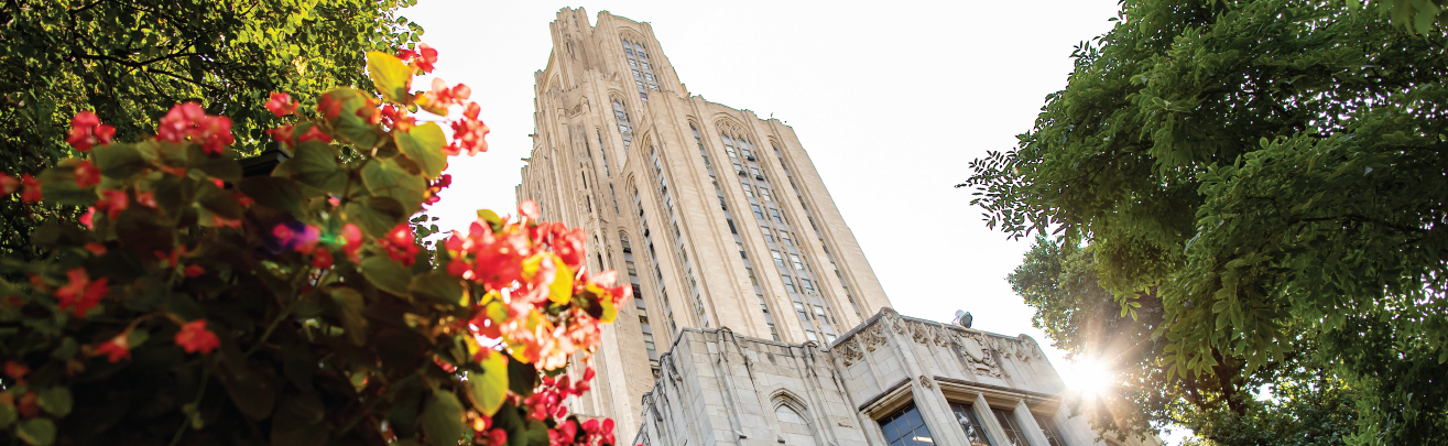 a view of the cathedral of learning looking upwards in spring